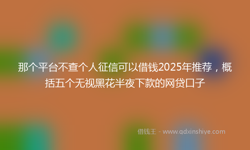 那个平台不查个人征信可以借钱2025年推荐，概括五个无视黑花半夜下款的网贷口子