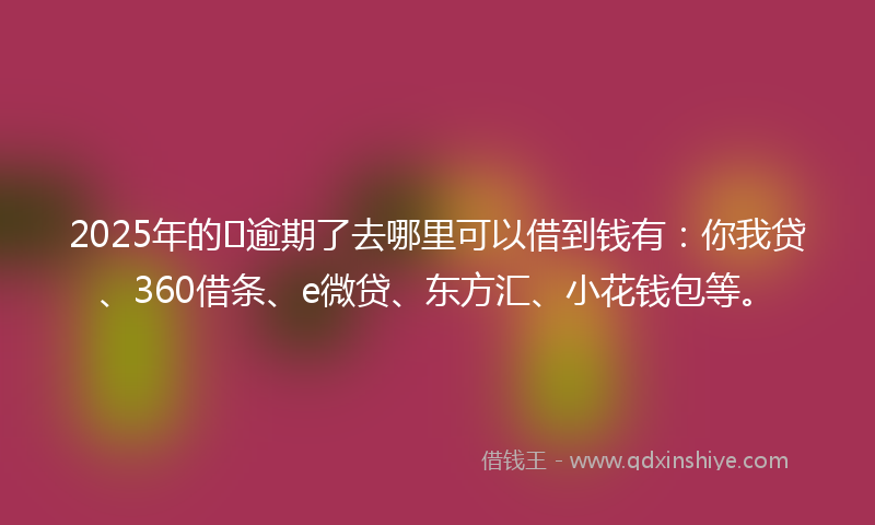 2025年的﻿逾期了去哪里可以借到钱有：你我贷、360借条、e微贷、东方汇、小花钱包等。