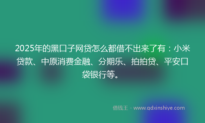 2025年的黑口子网贷怎么都借不出来了有：小米贷款、中原消费金融、分期乐、拍拍贷、平安口袋银行等。