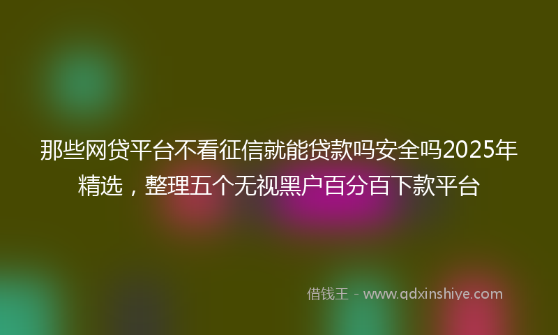 那些网贷平台不看征信就能贷款吗安全吗2025年精选，整理五个无视黑户百分百下款平台