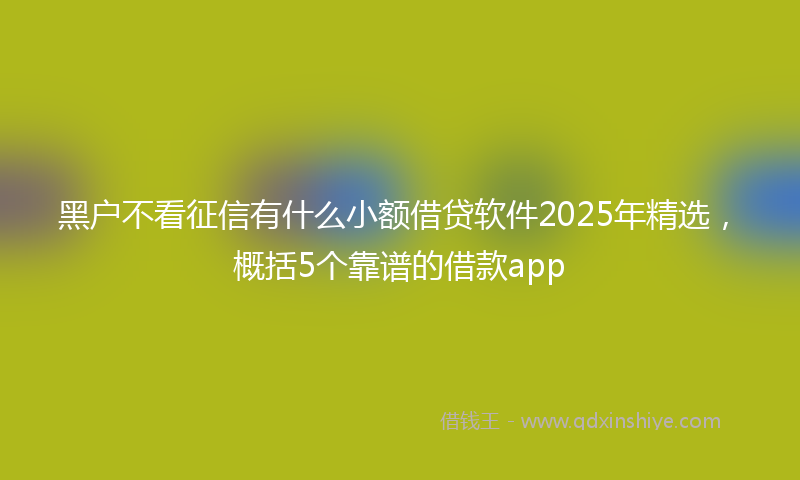 黑户不看征信有什么小额借贷软件2025年精选，概括5个靠谱的借款app