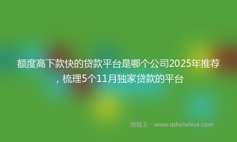 额度高下款快的贷款平台是哪个公司2025年推荐，梳理5个11月独家贷款的平台