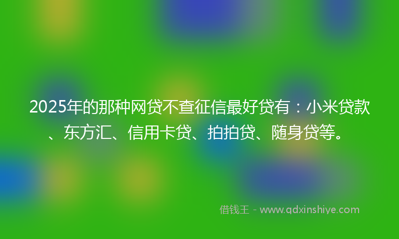 2025年的那种网贷不查征信最好贷有：小米贷款、东方汇、信用卡贷、拍拍贷、随身贷等。