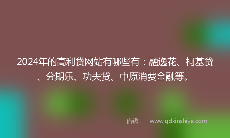 2024年的高利贷网站有哪些有：融逸花、柯基贷、分期乐、功夫贷、中原消费金融等。