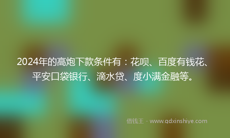 2024年的高炮下款条件有：花呗、百度有钱花、平安口袋银行、滴水贷、度小满金融等。