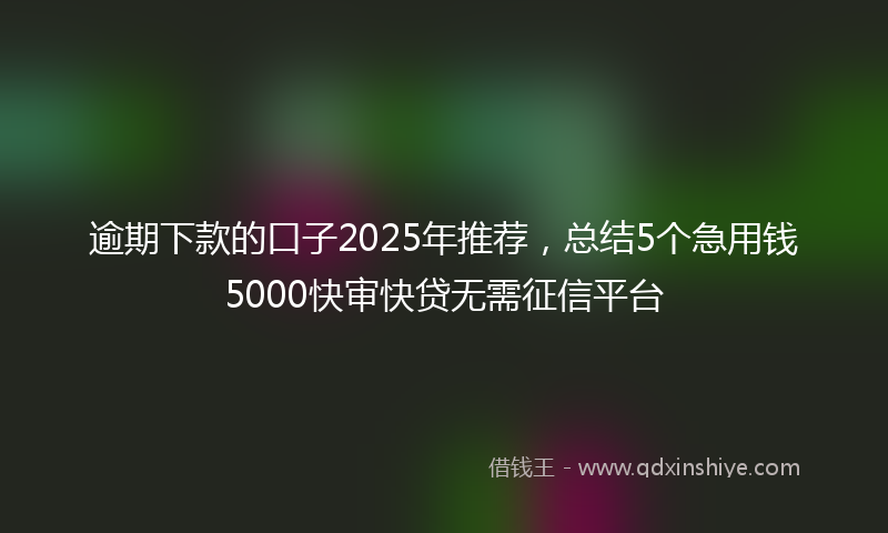 逾期下款的口子2025年推荐，总结5个急用钱5000快审快贷无需征信平台