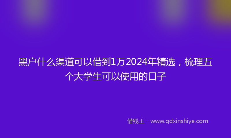 黑户什么渠道可以借到1万2024年精选，梳理五个大学生可以使用的口子