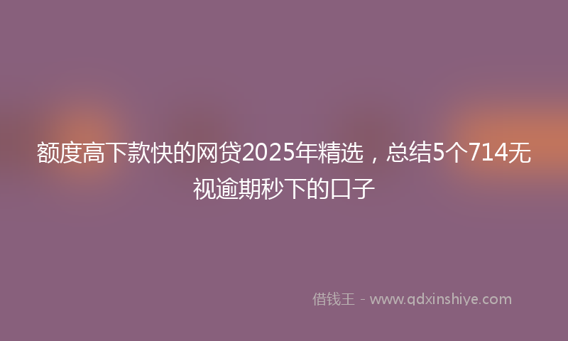 额度高下款快的网贷2025年精选，总结5个714无视逾期秒下的口子