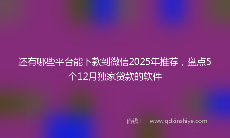 还有哪些平台能下款到微信2025年推荐，盘点5个12月独家贷款的软件