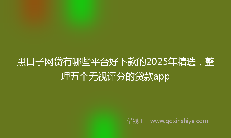 黑口子网贷有哪些平台好下款的2025年精选，整理五个无视评分的贷款app
