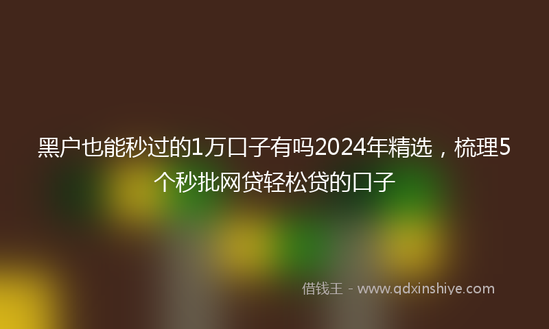 黑户也能秒过的1万口子有吗2024年精选，梳理5个秒批网贷轻松贷的口子