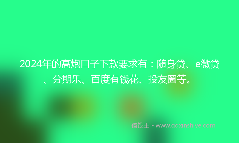 2024年的高炮口子下款要求有：随身贷、e微贷、分期乐、百度有钱花、投友圈等。