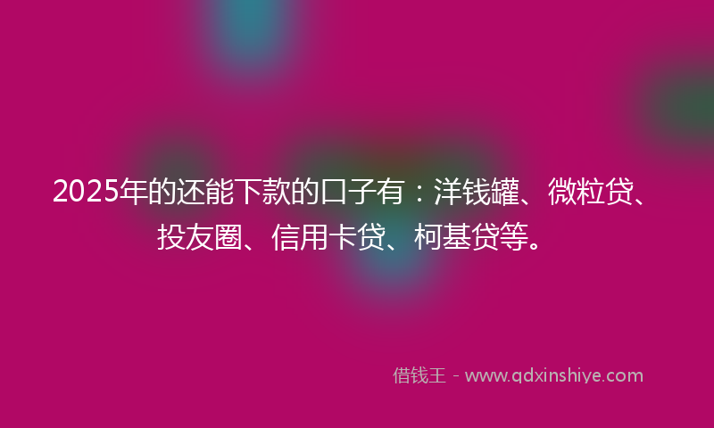 2025年的还能下款的口子有：洋钱罐、微粒贷、投友圈、信用卡贷、柯基贷等。