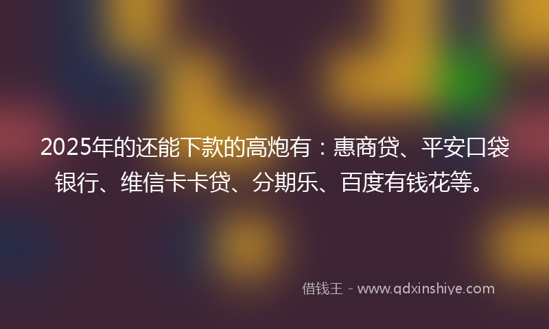 2025年的还能下款的高炮有：惠商贷、平安口袋银行、维信卡卡贷、分期乐、百度有钱花等。