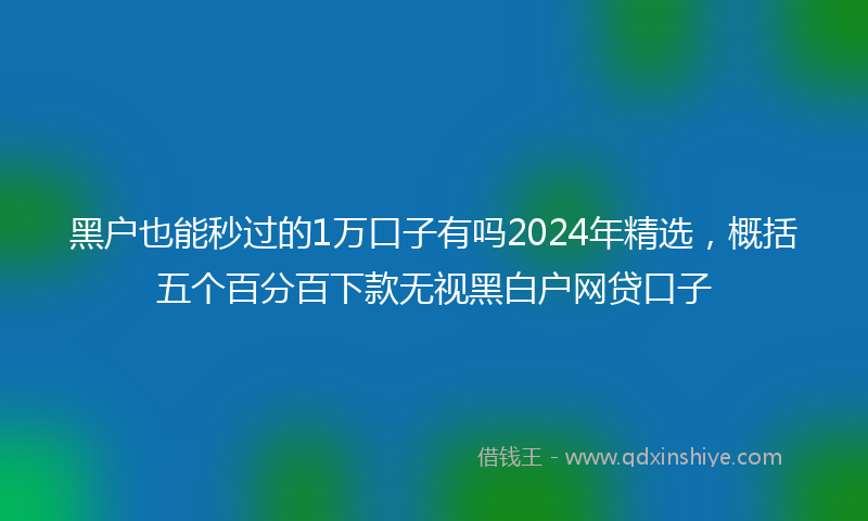 黑户也能秒过的1万口子有吗2024年精选，概括五个百分百下款无视黑白户网贷口子
