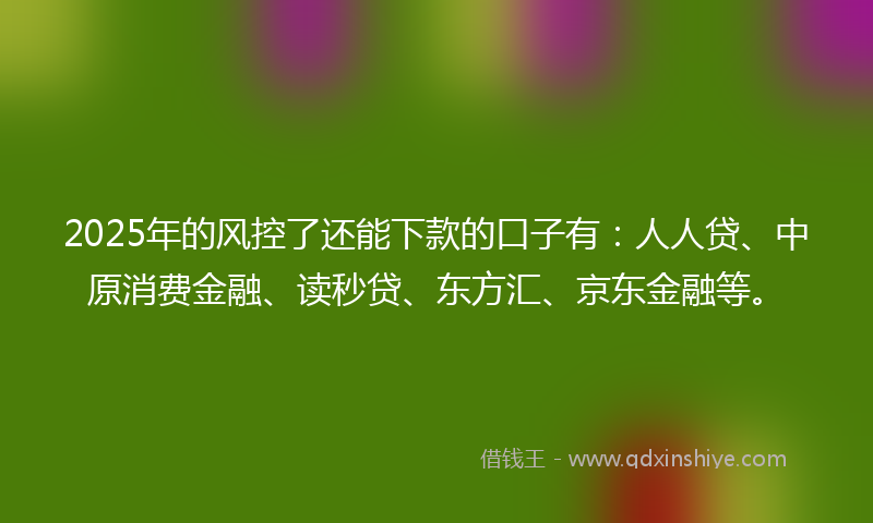 2025年的风控了还能下款的口子有：人人贷、中原消费金融、读秒贷、东方汇、京东金融等。