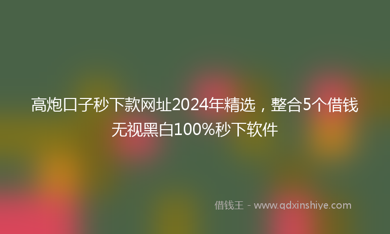 高炮口子秒下款网址2024年精选，整合5个借钱无视黑白100%秒下软件