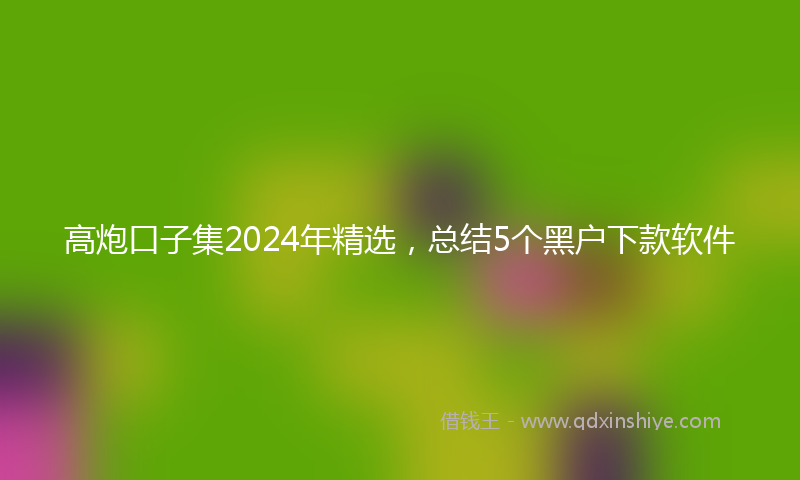 高炮口子集2024年精选，总结5个黑户下款软件