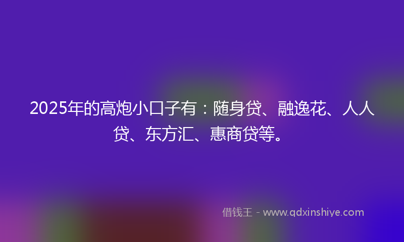2025年的高炮小口子有：随身贷、融逸花、人人贷、东方汇、惠商贷等。