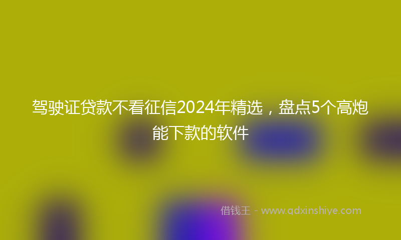 驾驶证贷款不看征信2024年精选，盘点5个高炮能下款的软件