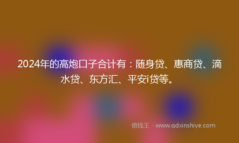 2024年的高炮口子合计有：随身贷、惠商贷、滴水贷、东方汇、平安i贷等。