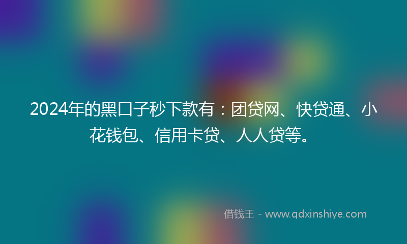 2024年的黑口子秒下款有：团贷网、快贷通、小花钱包、信用卡贷、人人贷等。