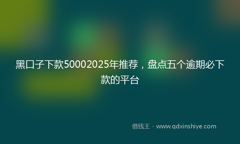 黑口子下款50002025年推荐，盘点五个逾期必下款的平台