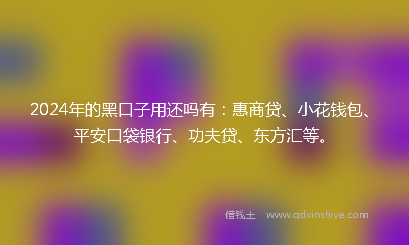 2024年的黑口子用还吗有：惠商贷、小花钱包、平安口袋银行、功夫贷、东方汇等。