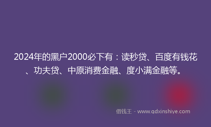 2024年的黑户2000必下有：读秒贷、百度有钱花、功夫贷、中原消费金融、度小满金融等。