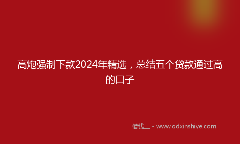 高炮强制下款2024年精选，总结五个贷款通过高的口子