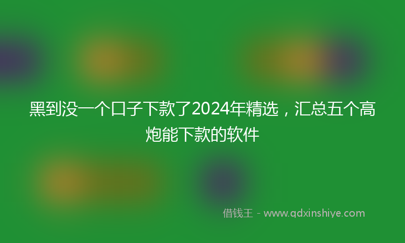 黑到没一个口子下款了2024年精选，汇总五个高炮能下款的软件