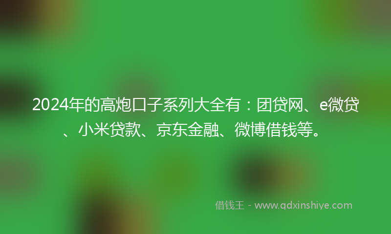 2024年的高炮口子系列大全有：团贷网、e微贷、小米贷款、京东金融、微博借钱等。