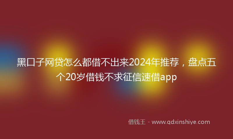 黑口子网贷怎么都借不出来2024年推荐，盘点五个20岁借钱不求征信速借app