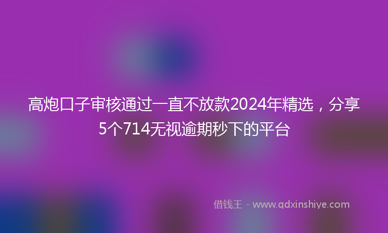 高炮口子审核通过一直不放款2024年精选，分享5个714无视逾期秒下的平台