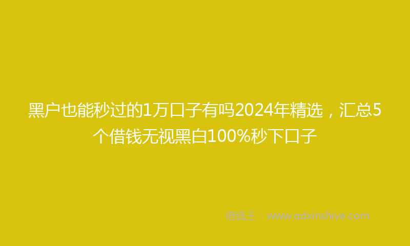 黑户也能秒过的1万口子有吗2024年精选，汇总5个借钱无视黑白100%秒下口子
