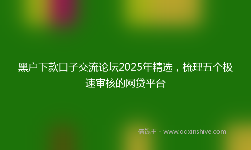 黑户下款口子交流论坛2025年精选，梳理五个极速审核的网贷平台