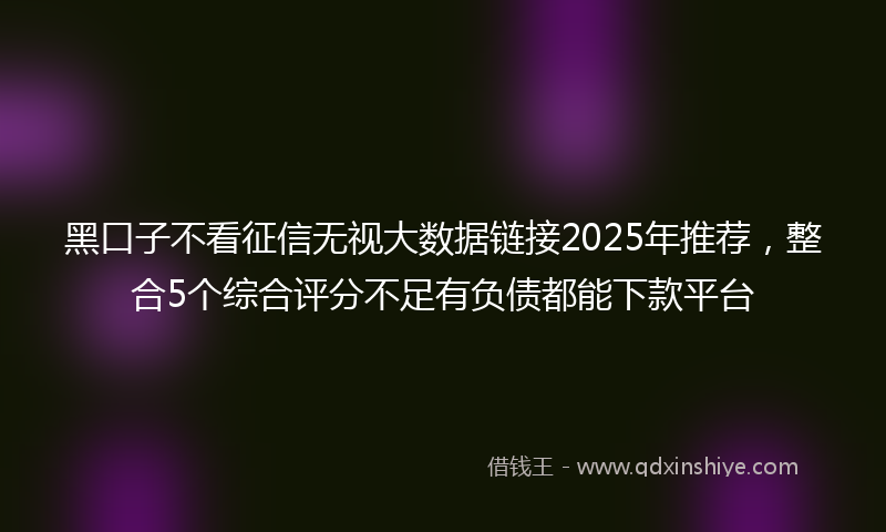 黑口子不看征信无视大数据链接2025年推荐，整合5个综合评分不足有负债都能下款平台