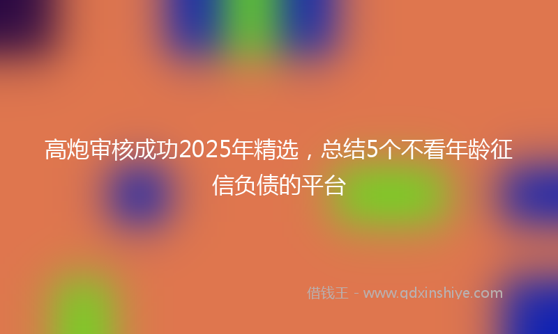 高炮审核成功2025年精选，总结5个不看年龄征信负债的平台