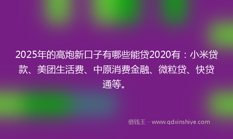 2025年的高炮新口子有哪些能贷2020有：小米贷款、美团生活费、中原消费金融、微粒贷、快贷通等。