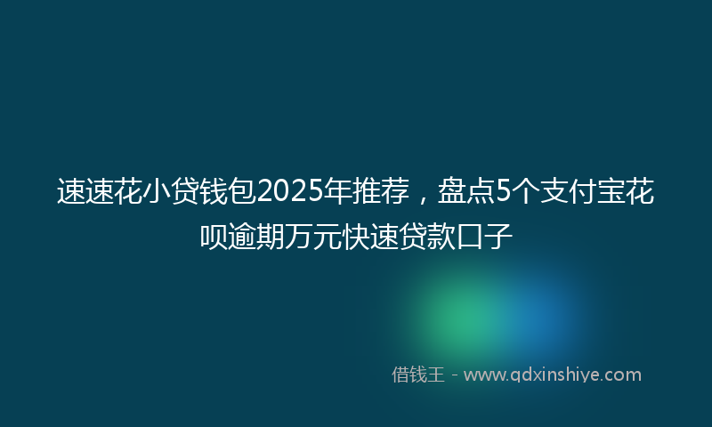 速速花小贷钱包2025年推荐，盘点5个支付宝花呗逾期万元快速贷款口子