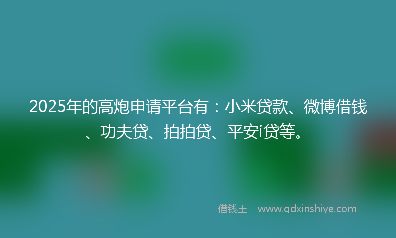 2025年的高炮申请平台有：小米贷款、微博借钱、功夫贷、拍拍贷、平安i贷等。
