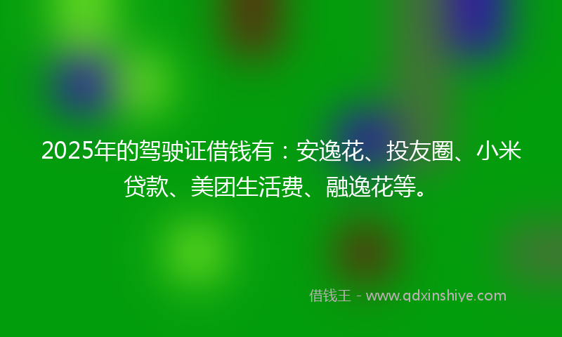 2025年的驾驶证借钱有：安逸花、投友圈、小米贷款、美团生活费、融逸花等。
