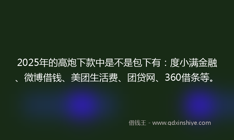 2025年的高炮下款中是不是包下有：度小满金融、微博借钱、美团生活费、团贷网、360借条等。