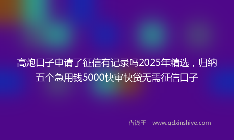 高炮口子申请了征信有记录吗2025年精选，归纳五个急用钱5000快审快贷无需征信口子