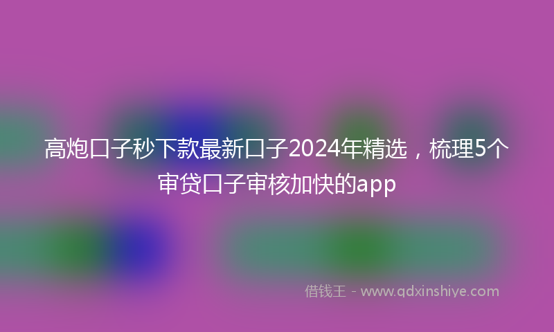高炮口子秒下款最新口子2024年精选，梳理5个审贷口子审核加快的app