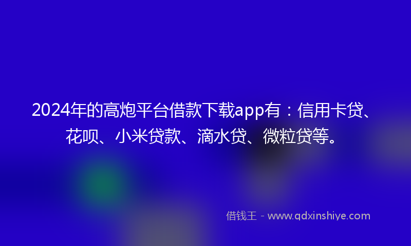 2024年的高炮平台借款下载app有：信用卡贷、花呗、小米贷款、滴水贷、微粒贷等。