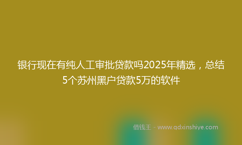 银行现在有纯人工审批贷款吗2025年精选，总结5个苏州黑户贷款5万的软件