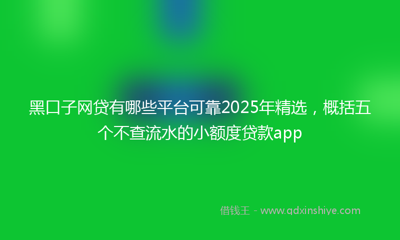 黑口子网贷有哪些平台可靠2025年精选，概括五个不查流水的小额度贷款app