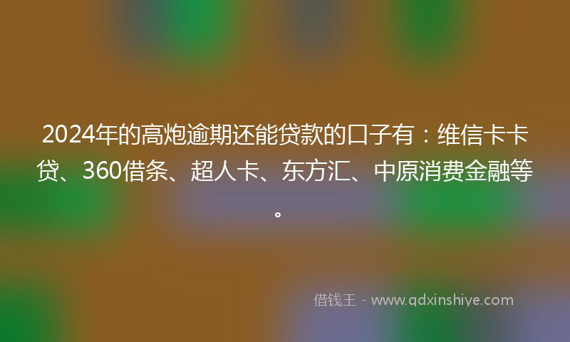 2024年的高炮逾期还能贷款的口子有：维信卡卡贷、360借条、超人卡、东方汇、中原消费金融等。