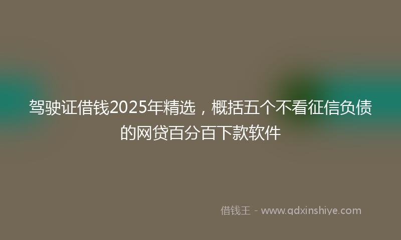 驾驶证借钱2025年精选，概括五个不看征信负债的网贷百分百下款软件